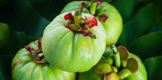 Garcinia Cambogia: una revisión equilibrada de beneficios, riesgos y evidencia científica