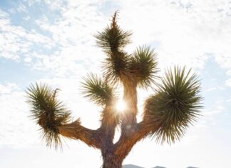 Природне полегшення припливів: уважний підхід