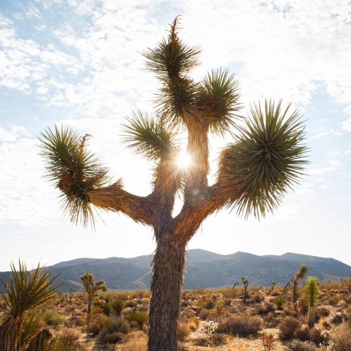 3b9af33c-774f-4016-880d-70276f312784