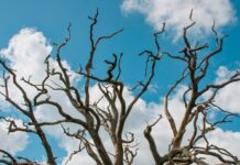 Преодоление Дефицита: Как Перейти От Ощущения “Не Хватает” к Изобилию