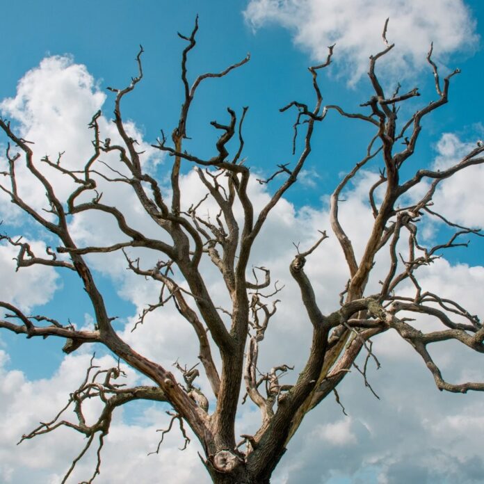 ea0ef266-66da-4710-ab7e-03a442832bf2