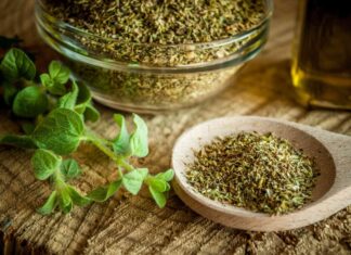 Орегано: науково доведена користь для здоров’я та способи його використання