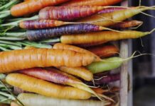 13 Найкорисніших Коренеплодів: Повне Керівництво