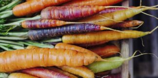 13 Najzdrowsze warzywa korzeniowe: kompletny przewodnik