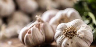 I sorprendenti benefici per la salute dell’aglio: perché dovresti includerlo nella tua dieta