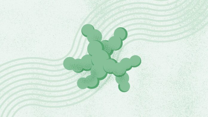 a06921bc-c9d5-41fd-917e-59aa2ba8d163