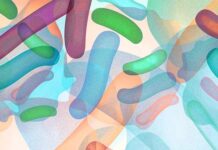 Пробіотики: Кому вони корисні і що говорить наука