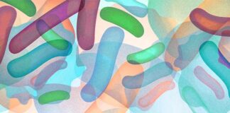 Probiotiques : qui en profite et ce que dit la science