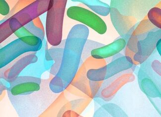 Пробіотики: Кому вони корисні і що говорить наука