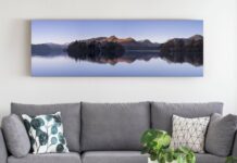 Peningkatan Kesehatan Tak Terduga di Ruang Tamu Anda