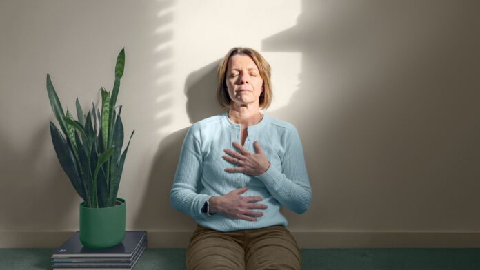 d441ca5c-649e-4500-b4f2-a24af2d91b55