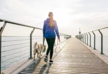 “Tanda Vital Keenam”: Mengapa Kecepatan Berjalan Anda adalah Indikator Kunci Umur Panjang