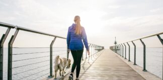 «Шестой жизненно важный показатель»: почему скорость вашей ходьбы — ключевой индикатор долголетия