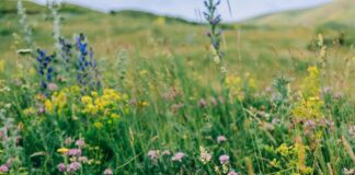 Kemenangan Kecil, Dampak Besar: Strategi Pakar untuk Kesejahteraan Mental Berkelanjutan