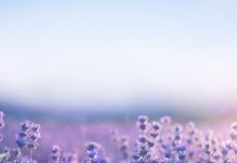 Руководство по осознанности для начинающих: практические техники на каждый день