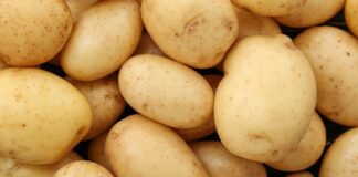 Brambory a cukrovka: dávat smysl protichůdným údajům