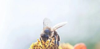 Il mito del multitasking: perché fare di più è in realtà meno efficace — Calm Blog