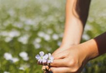 Étapes pratiques pour réparer un cœur brisé : un guide pour guérir après une perte