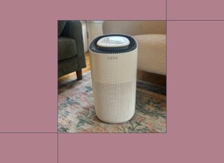 Как снизить уровень пыли и убрать запахи от готовки с помощью Sans Air Purifier