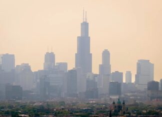 Чому Північному Сході США час готуватися до сезону лісових пожеж