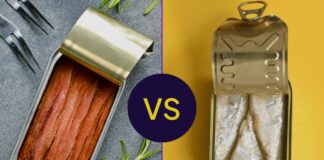 Sardellen vs. Sardinen: Ein brutaler Ernährungs-Showdown