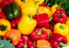 6 продуктів, багатих на вітамін С, ефективніше болгарського перцю для імунітету
